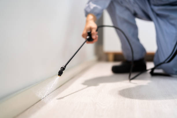 Licensed Pest Control service in Winsted, CT - Show Me Pest Control