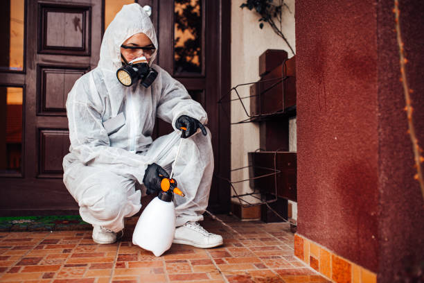 Reliable Wasp Removal contractor in Winsted, CT by Show Me Pest Control